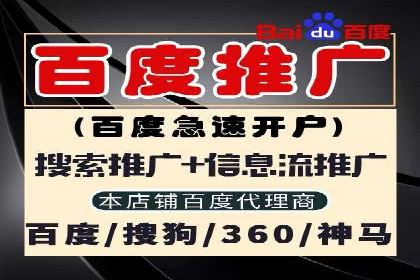 成功案例分享：SEM推广策略的制定与执行